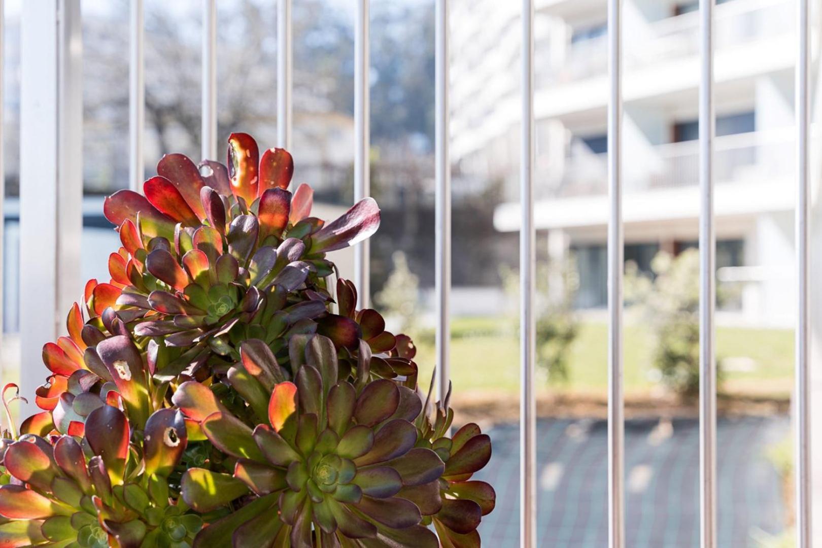 Guestready - Ideal Stay Near Estadio Do Dragao Porto Exterior foto